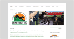 Desktop Screenshot of mail.erinhounds.co.uk